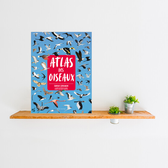 Atlas des oiseaux